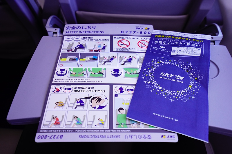 f:id:flyfromrjgg:20201026105509j:plain