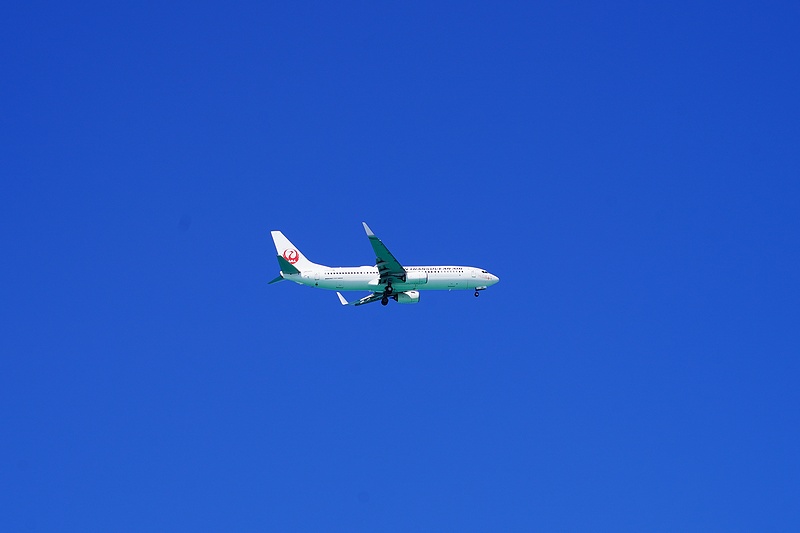 f:id:flyfromrjgg:20201026170744j:plain
