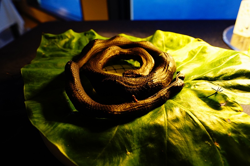 f:id:flyfromrjgg:20201101125738j:plain