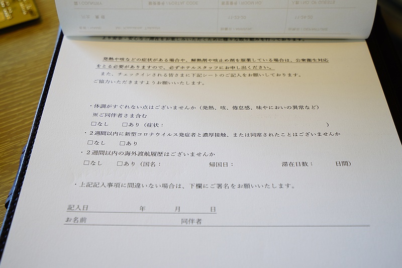f:id:flyfromrjgg:20201124163642j:plain