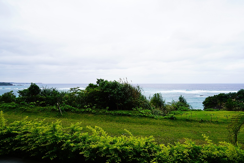 f:id:flyfromrjgg:20201124163720j:plain
