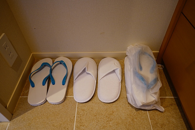 f:id:flyfromrjgg:20201124163843j:plain