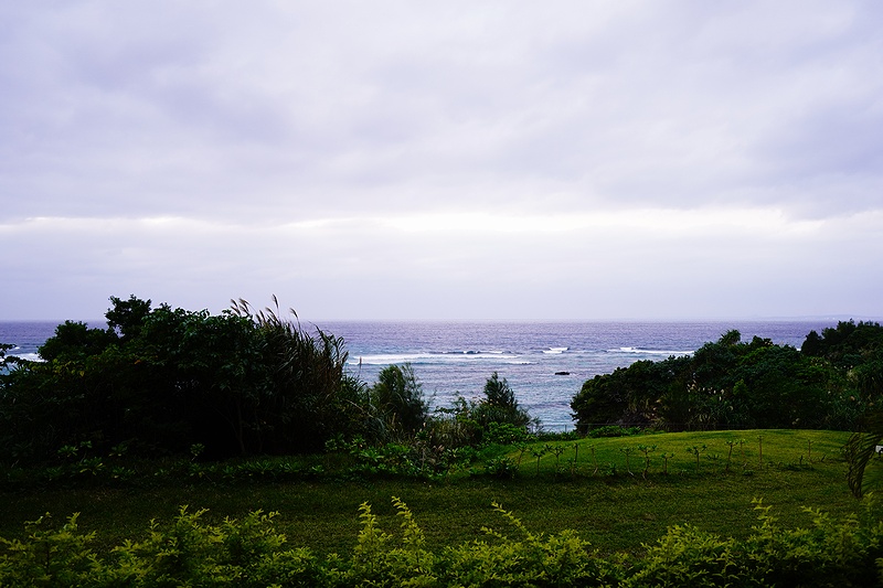 f:id:flyfromrjgg:20201124163907j:plain