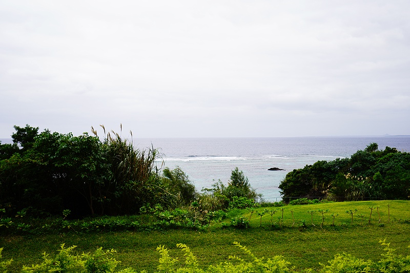 f:id:flyfromrjgg:20201124163916j:plain