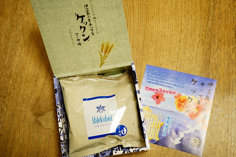 f:id:flyfromrjgg:20201206112631j:plain