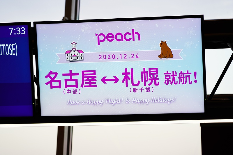 f:id:flyfromrjgg:20201231110719j:plain