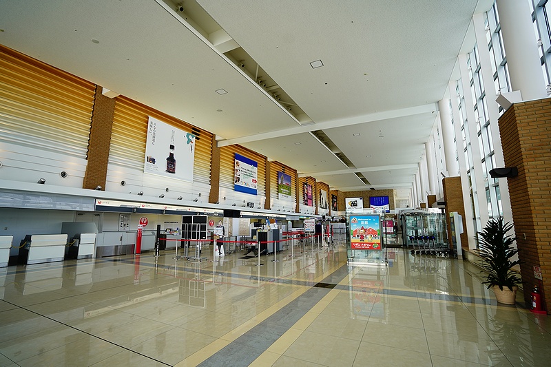 f:id:flyfromrjgg:20210110145846j:plain