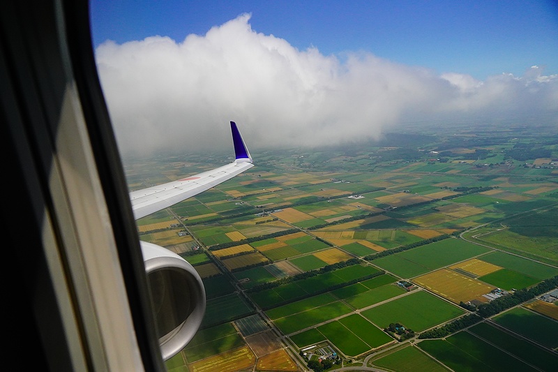 f:id:flyfromrjgg:20210302221134j:plain