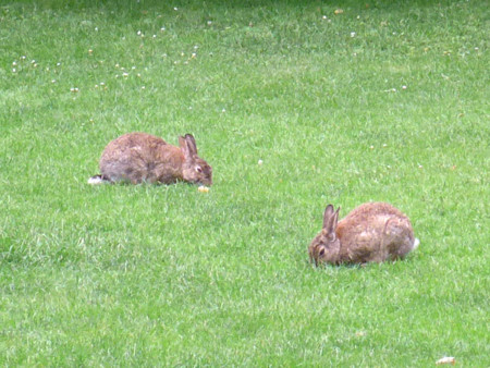f:id:flying-whisker:20160608143338j:image f:id:flying-whisker:20160608143338j:image