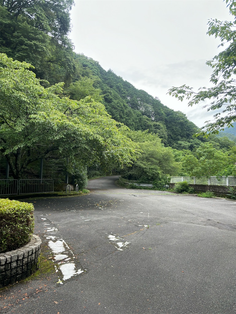 f:id:flynrt:20240712222806j:image