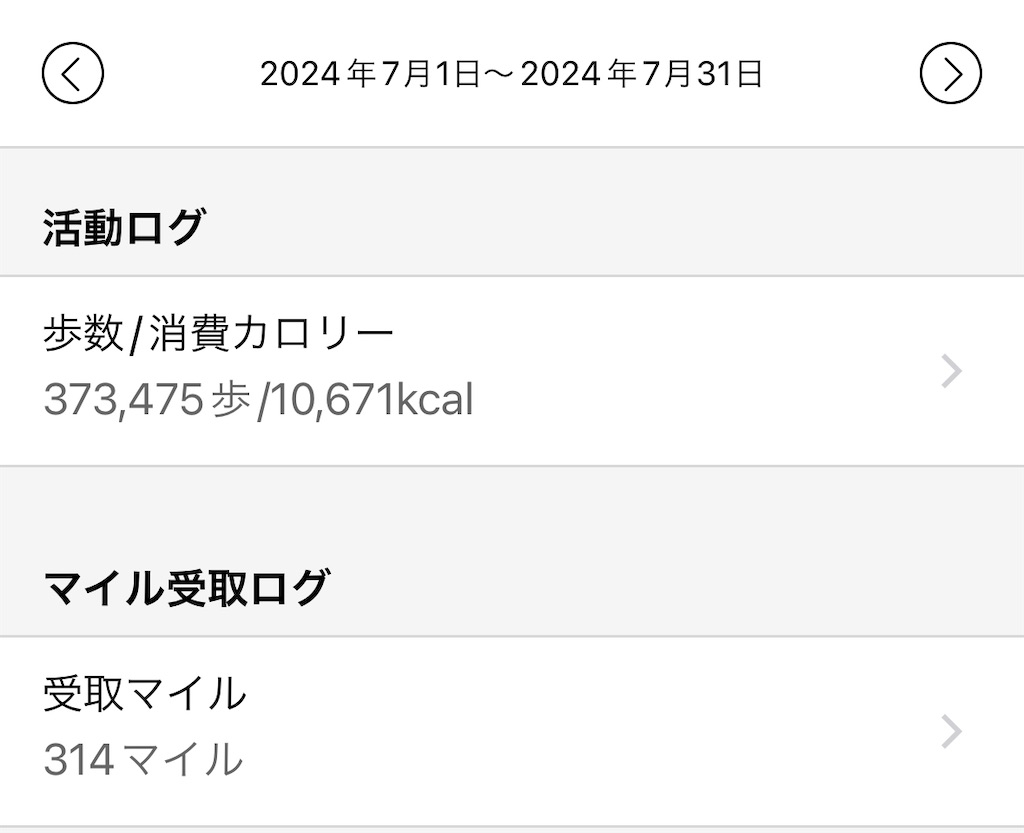 f:id:flynrt:20240802230825j:image