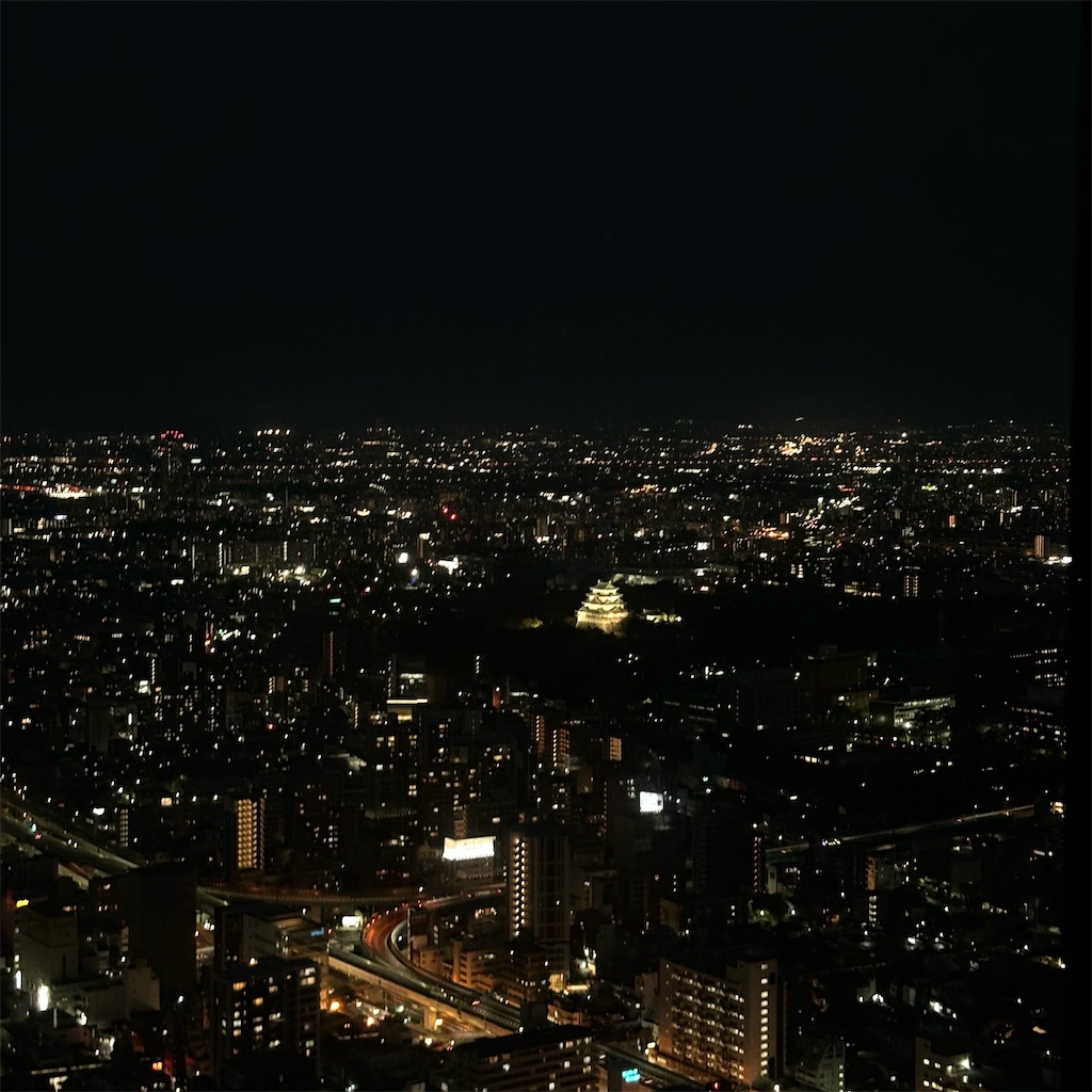 f:id:flynrt:20241204231516j:image