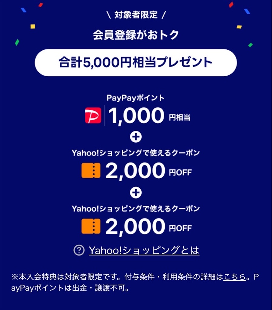 f:id:flynrt:20241209111816j:image