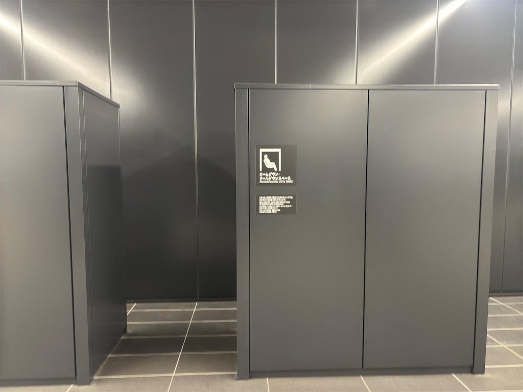 f:id:flynrt:20250121170432j:image