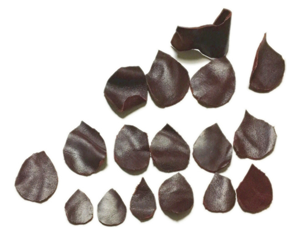 f:id:fm7743:20170904231151j:image