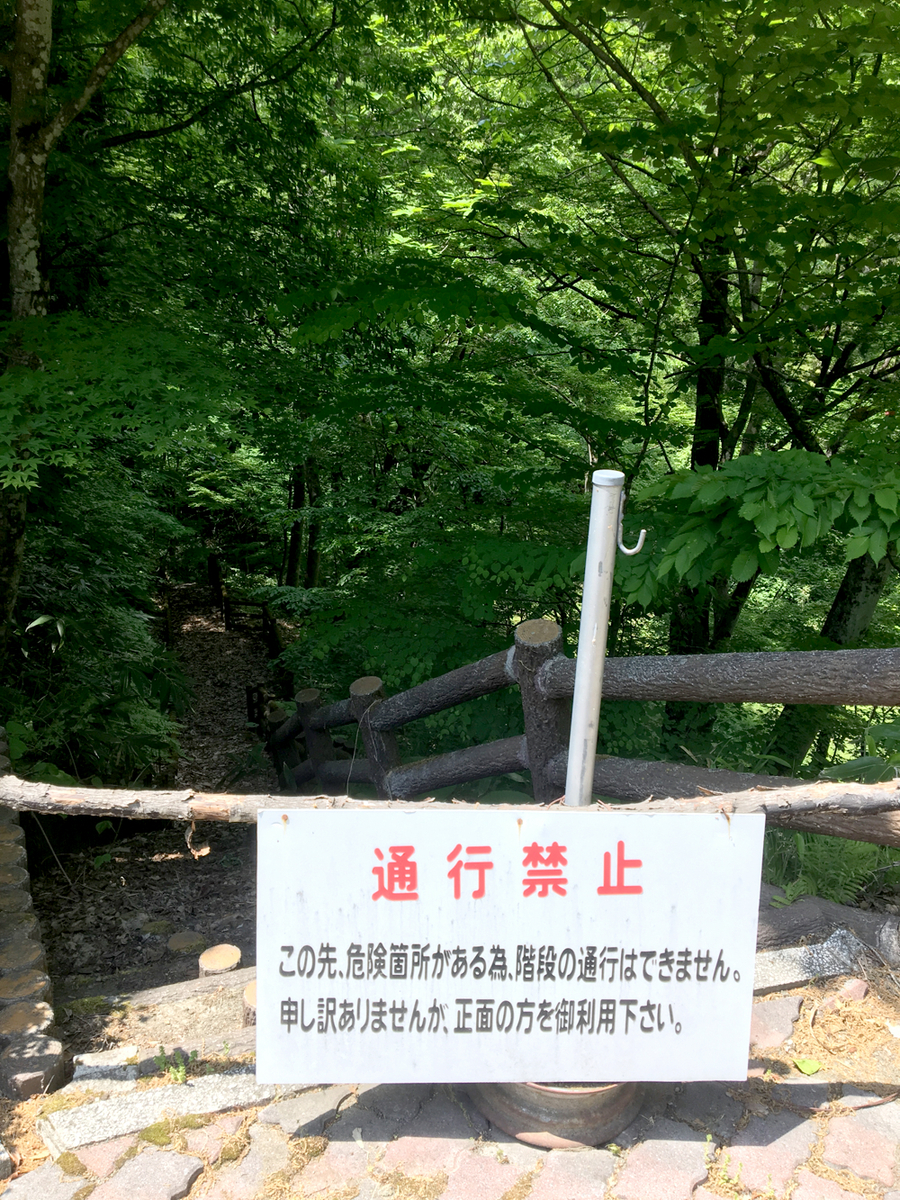 f:id:fm7743:20190602230928j:image:h300