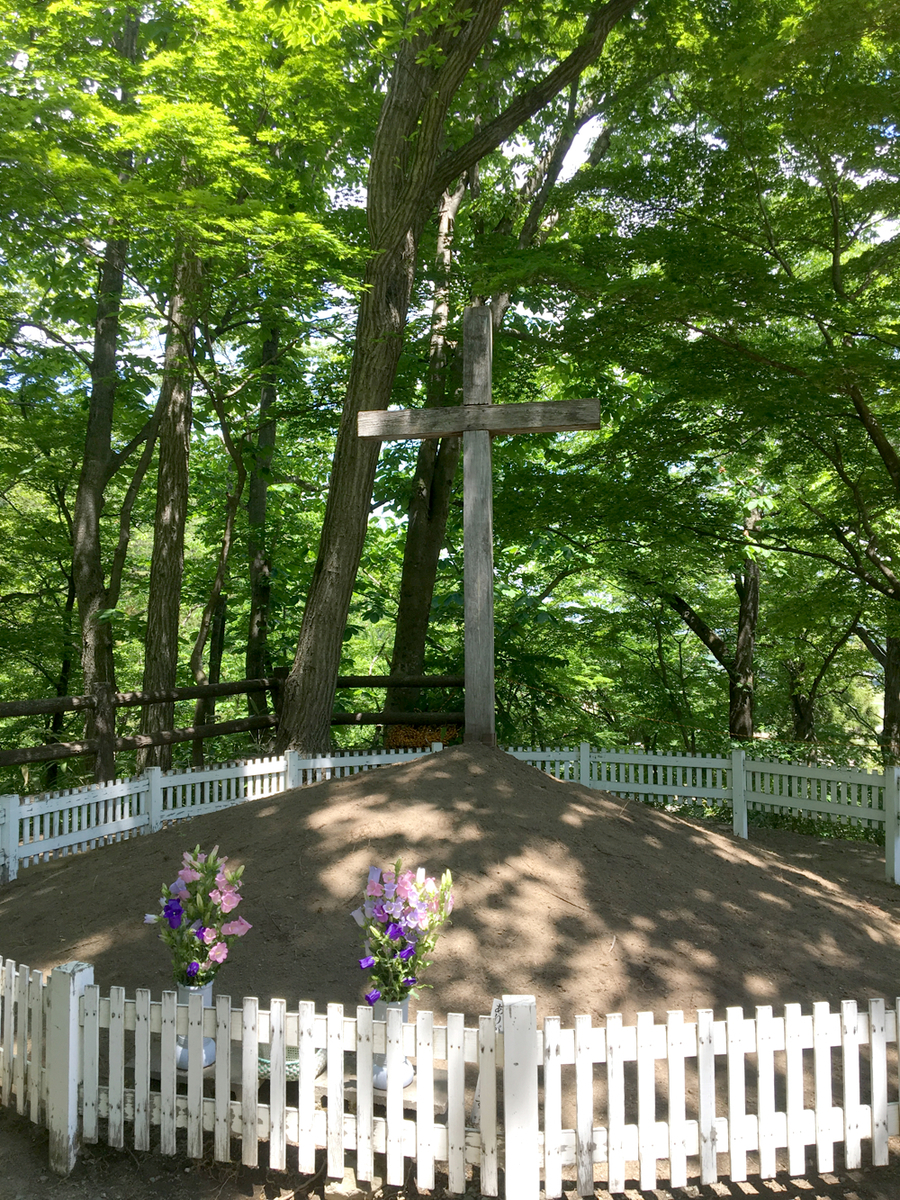 f:id:fm7743:20190602231306j:image:h300