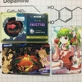 20210307003752