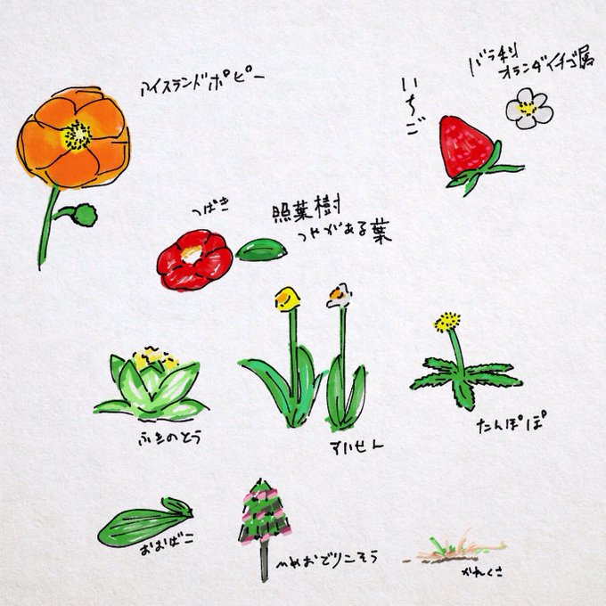 f:id:fm7743:20210316231918j:plain