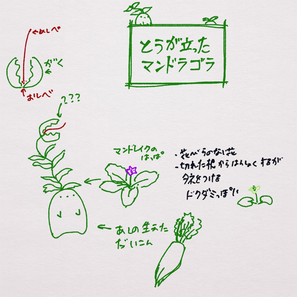 f:id:fm7743:20220308233028j:plain