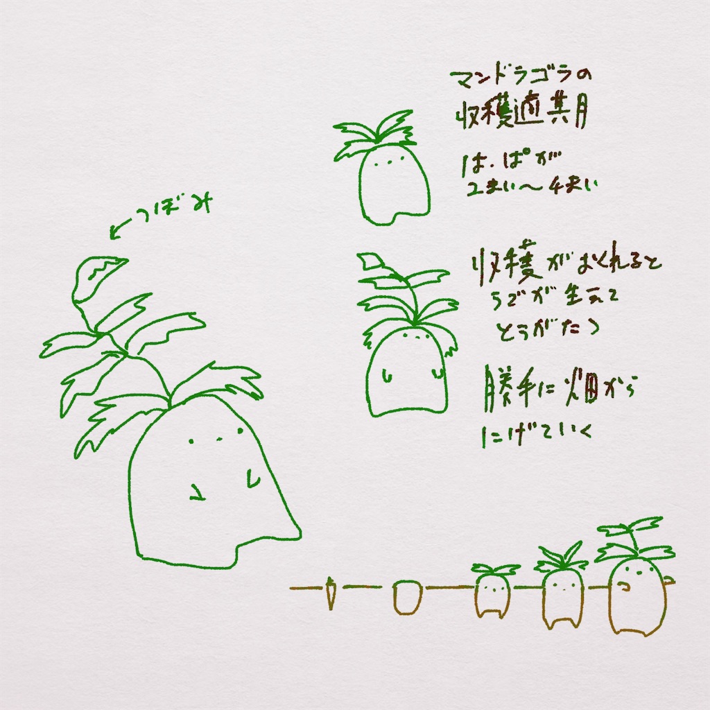 f:id:fm7743:20220308233033j:plain