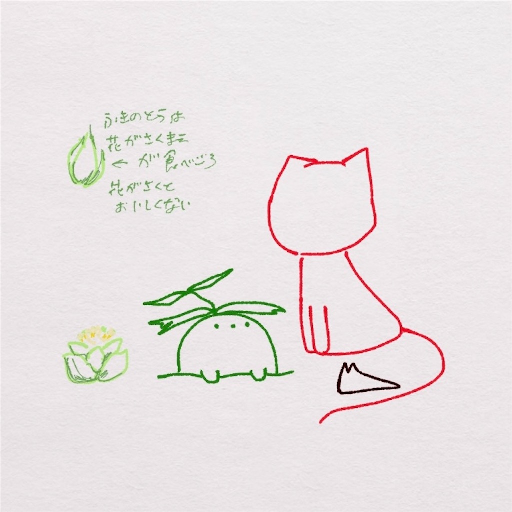 f:id:fm7743:20220406235146j:plain