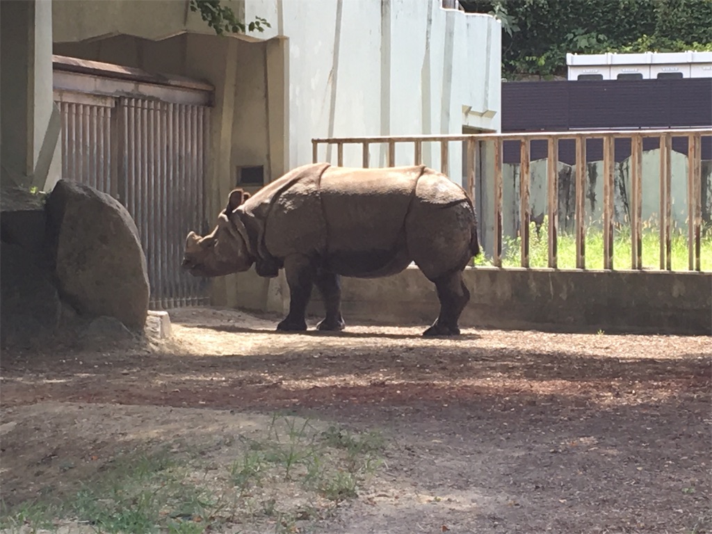 16 9 4 東山動物園でポケモンgo ポケモンgoの為に旅行をする人のブログ