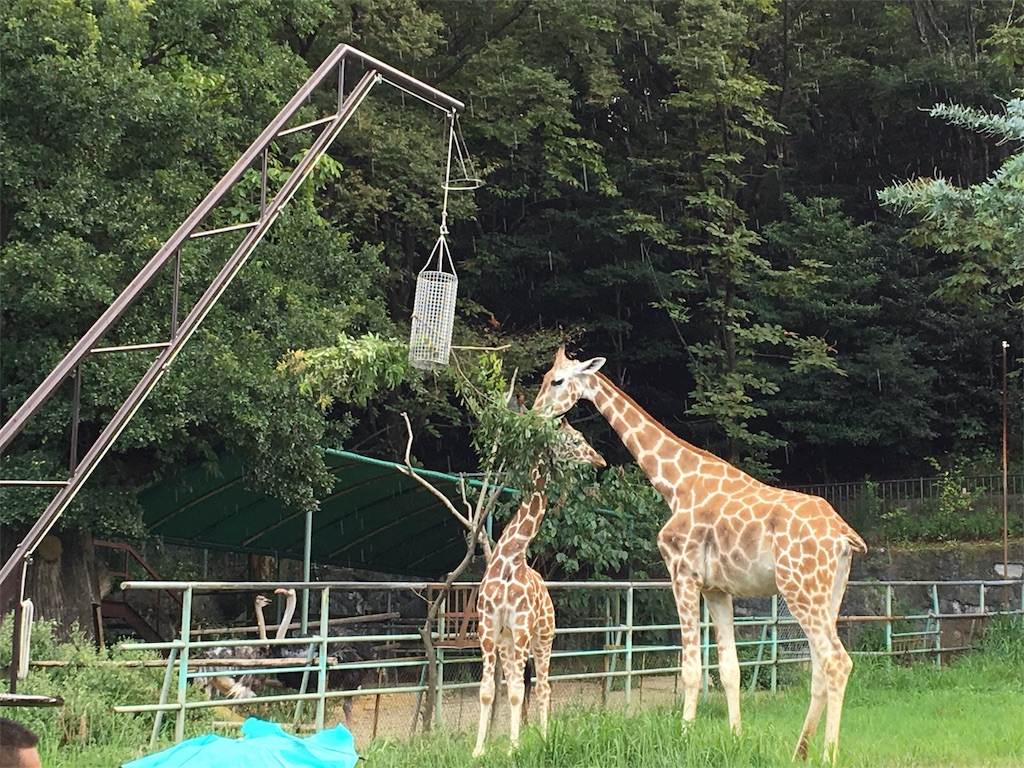 16 9 4 東山動物園でポケモンgo ポケモンgoの為に旅行をする人のブログ