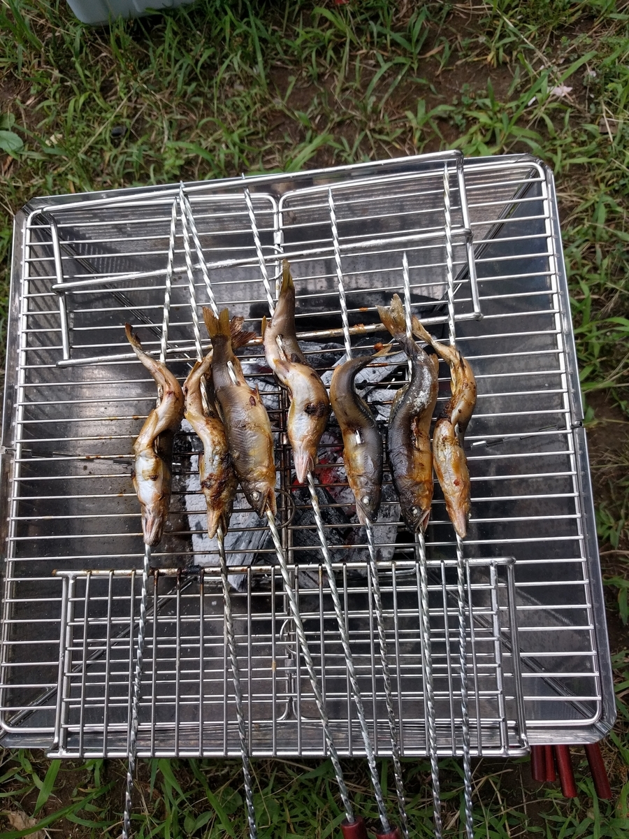 バーベキューコンロで渓流魚の串焼き Fm Hidakagawa S Blog