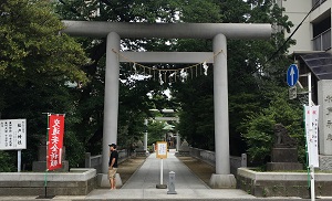 f:id:fmasy:20190609232725j:plain