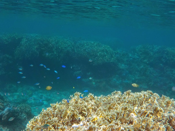 f:id:fme80:20170822163355j:plain