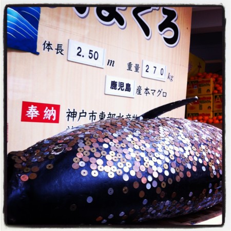 f:id:fn7:20120109094455j:image f:id:fn7:20120109094455j:image