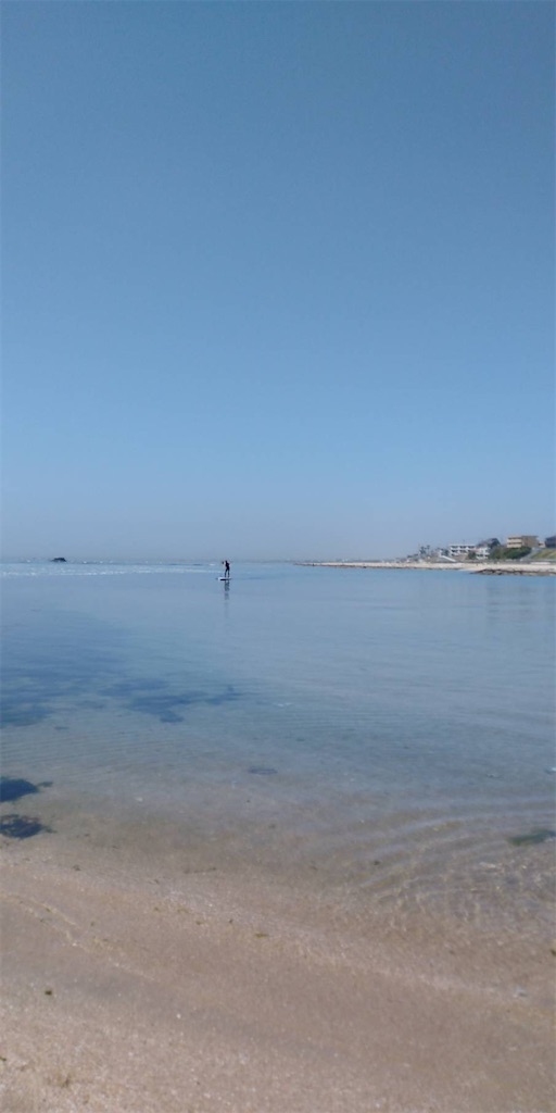 f:id:fnamo:20220409185235j:image