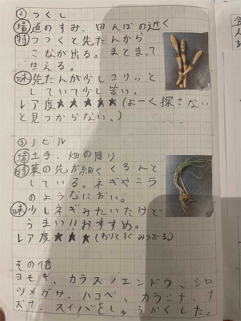 f:id:fnamo:20230312212029j:image