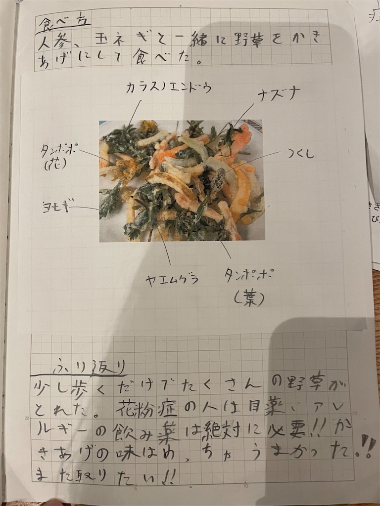 f:id:fnamo:20230312212043j:image