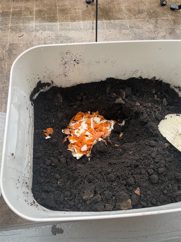 f:id:fnamo:20240410173256j:image