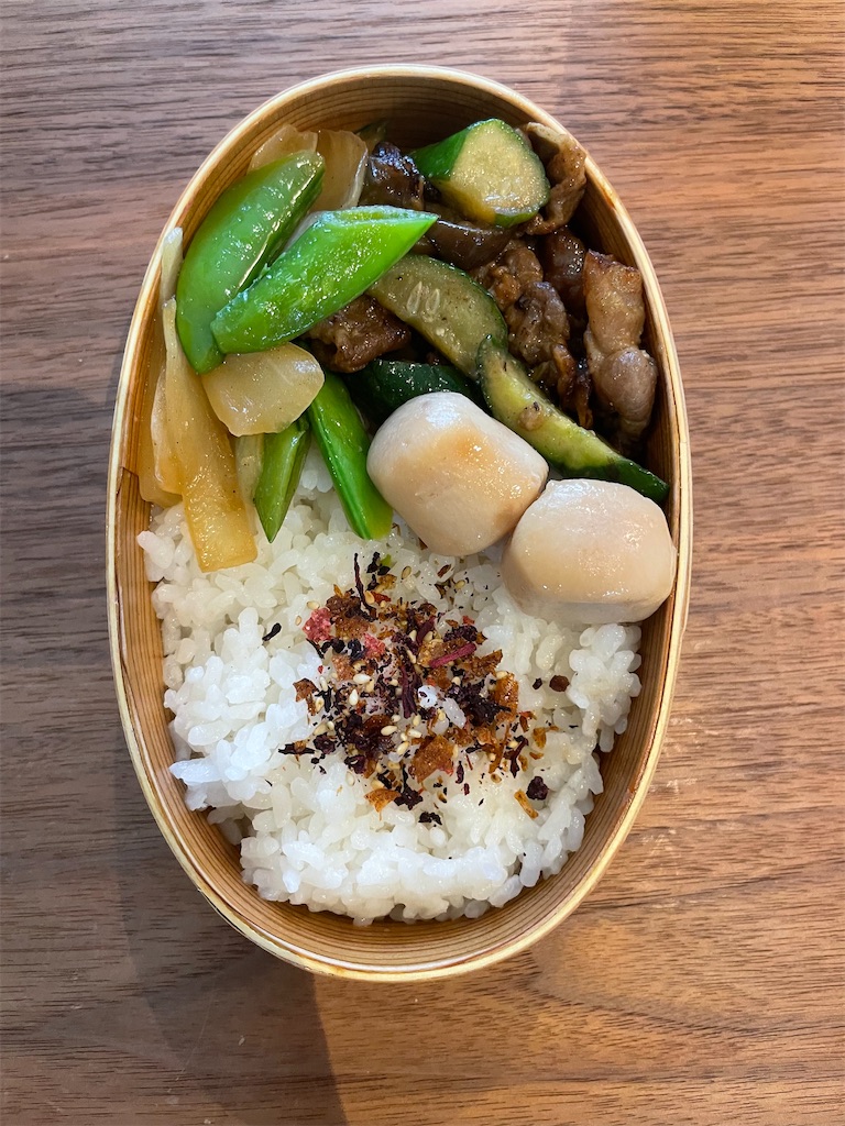 f:id:fnamo:20240603184531j:image