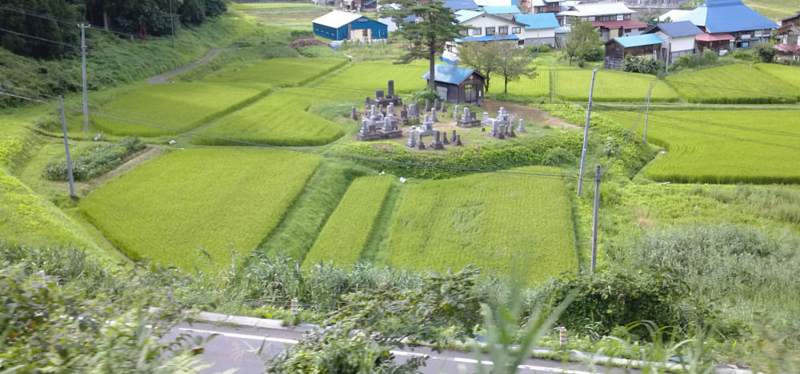 f:id:fnoithunder:20141229213131j:plain f:id:fnoithunder:20141229213131j:plain