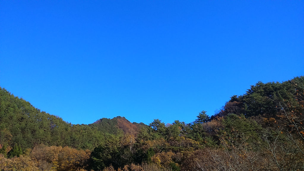 f:id:fnoithunder:20181123131349j:plain