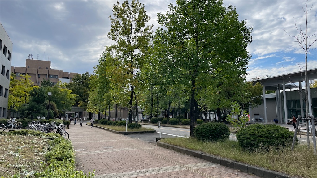 f:id:fnwr:20241030224902j:image