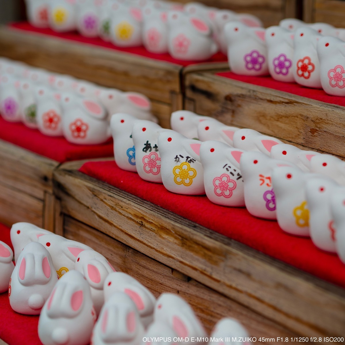 八坂神社の願掛けうさぎ