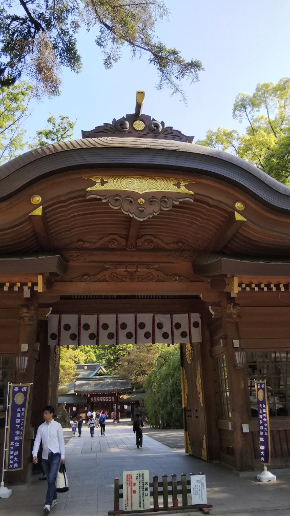 f:id:focus2525:20190607140454j:plain f:id:focus2525:20190607140454j:plain