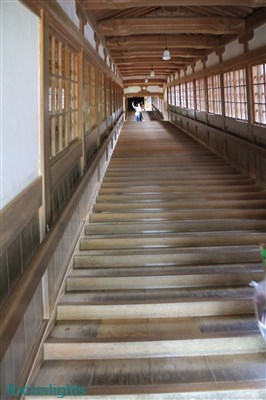 f:id:focuslights:20160618153731j:plain