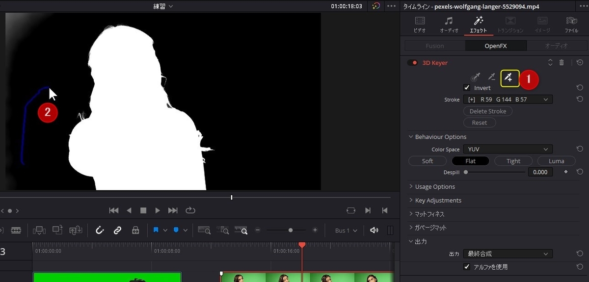f:id:fog-san:20211109202252j:plain
