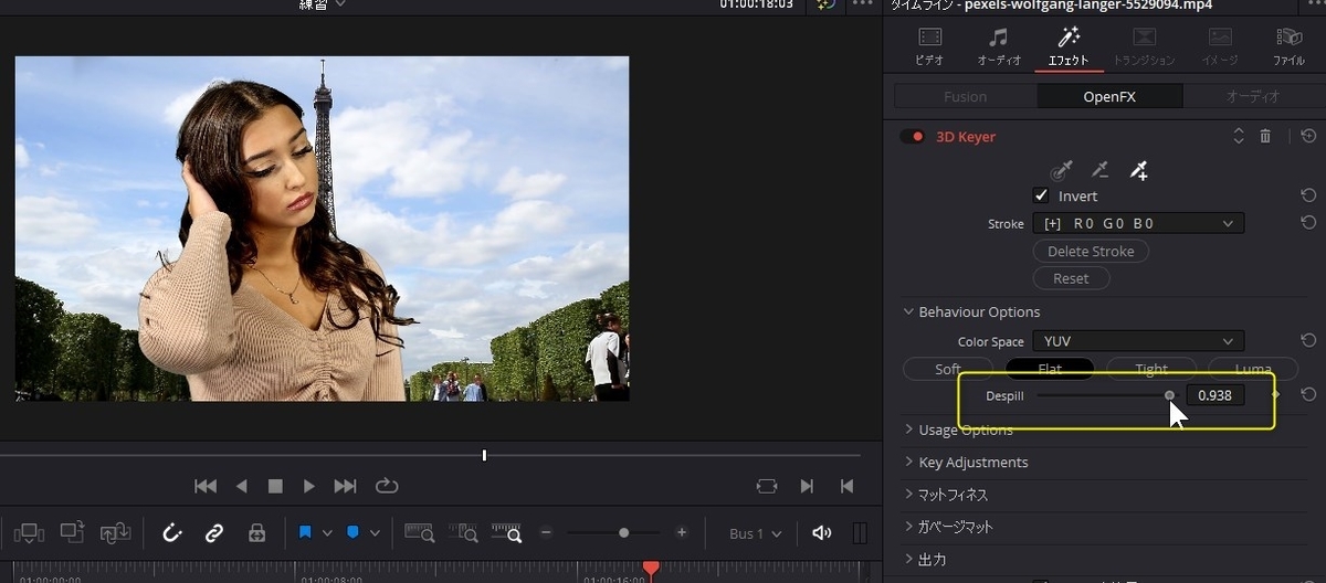 f:id:fog-san:20211109203331j:plain