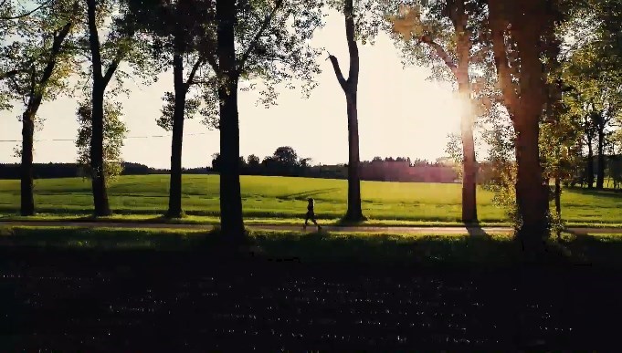 f:id:fog-san:20211119161502j:plain