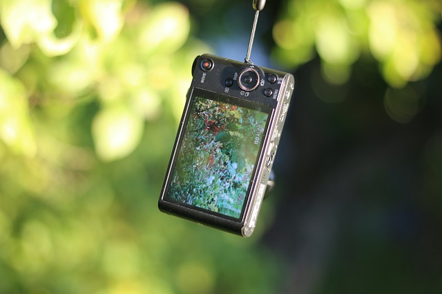 f:id:fog-san:20211130205943j:plain