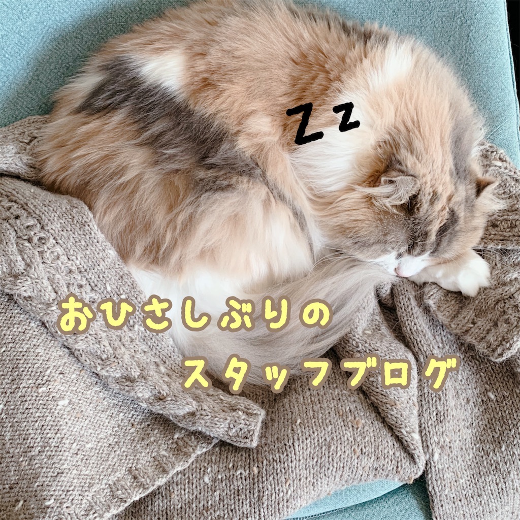 f:id:folklora:20201111150242j:image f:id:folklora:20201111150242j:image