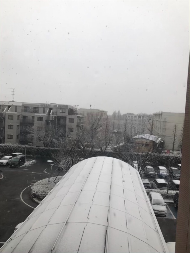 f:id:folliculogenesis:20220106174715j:image f:id:folliculogenesis:20220106174715j:image