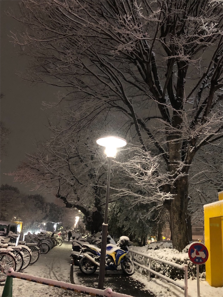 f:id:folliculogenesis:20220106174718j:image f:id:folliculogenesis:20220106174718j:image